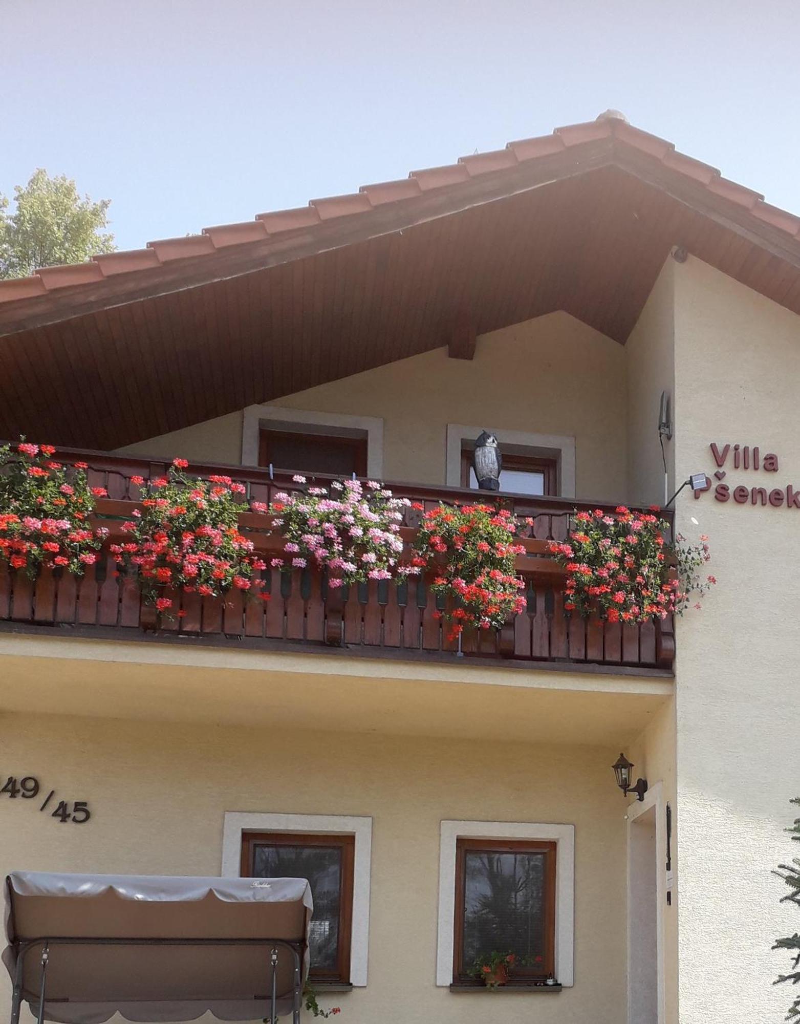 Villa Psenek Banka Exterior foto